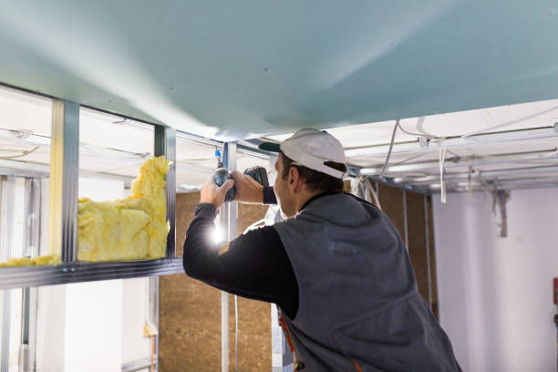 Best Geographic-Specific Insulation Services in Silt, CO