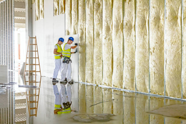Best Blown-in Insulation in Silt, CO